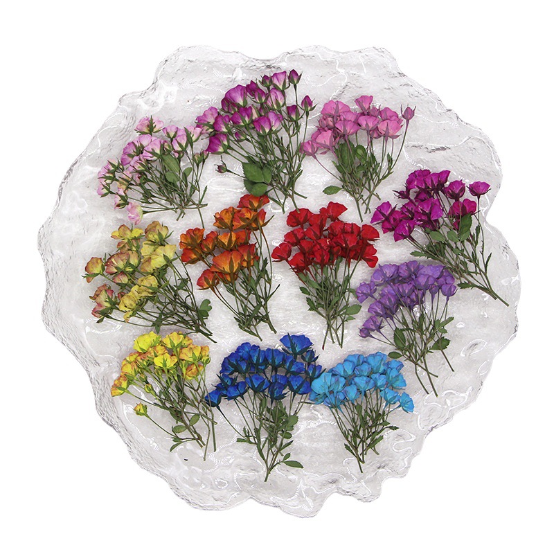 Dried Flower Bookmark - 36X preslenmiş kurutulmuş çok kafaları boyalı