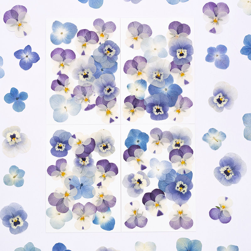Dried Flower Bookmark - 12 adet, Gerçek Viola Cornuta Preslenmiş