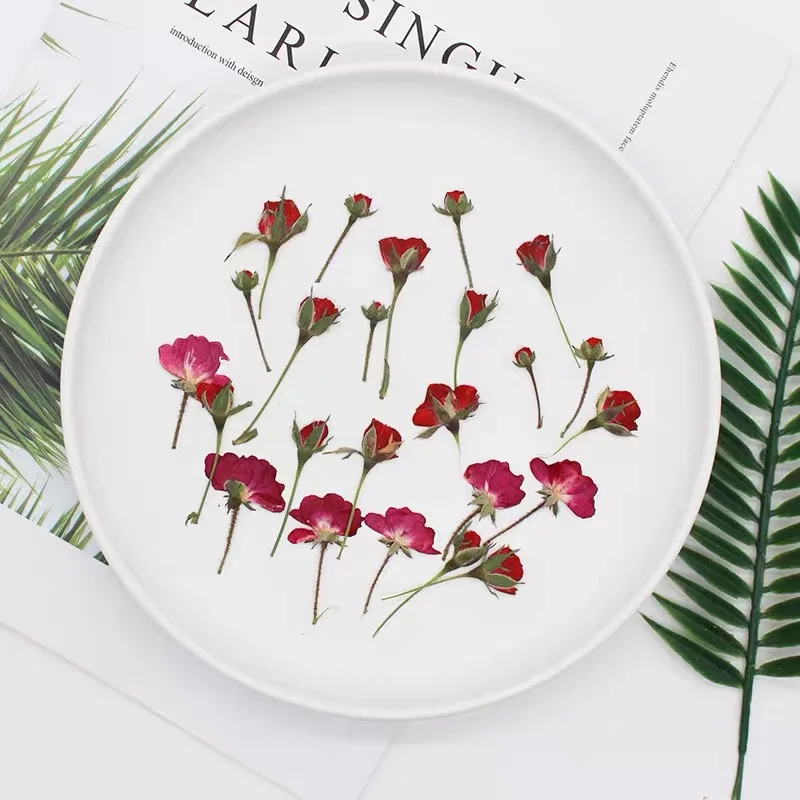 Dried Flower Bookmark - 60 adet kuru yan preslenmiş kırmızı/mor/pembe/sarı