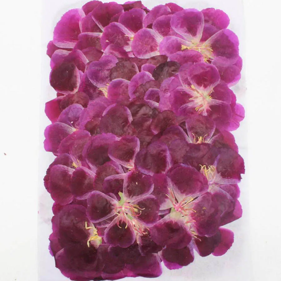 60 adet 4-7cm preslenmiş kurut - Dried Flower Bookmark incelemesi ve fiyatı