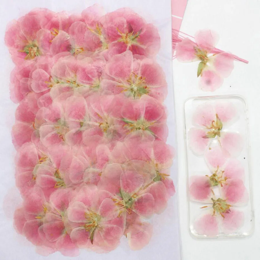 60 adet 4-7cm preslenmiş kurut - Dried Flower Bookmark incelemesi ve fiyatı