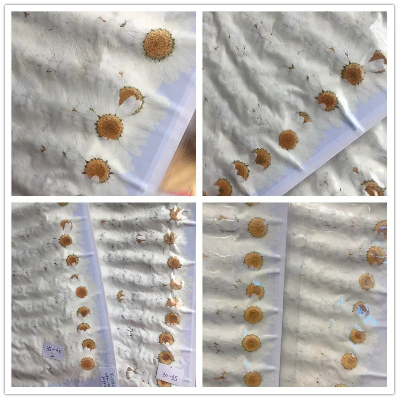 60X Preslenmiş Kurutulmuş Doğa - Dried Flower Bookmark incelemesi ve fiyatı
