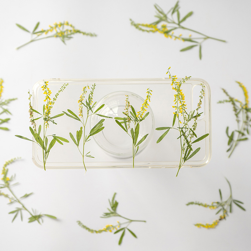 60 adet preslenmiş kurutulmuş  - Dried Flower Bookmark incelemesi ve fiyatı