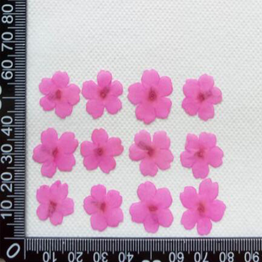 60 adet 1-2cm preslenmiş kurut - Dried Flower Bookmark incelemesi ve fiyatı