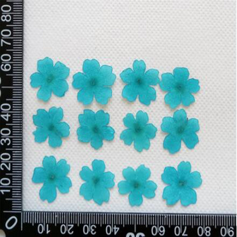 60 adet 1-2cm preslenmiş kurut - Dried Flower Bookmark incelemesi ve fiyatı