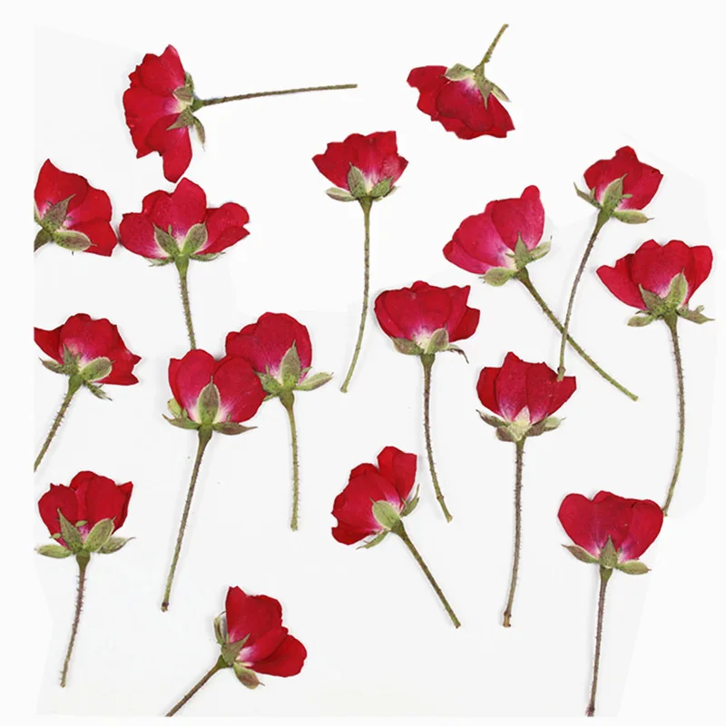 60 adet kuru yan preslenmiş kı - Dried Flower Bookmark incelemesi ve fiyatı