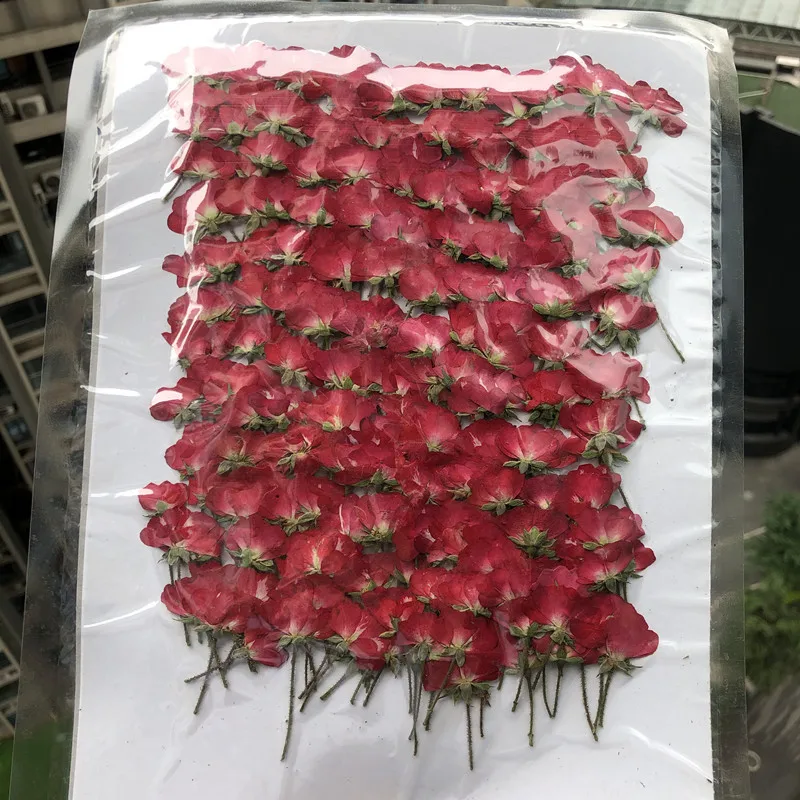 60 adet kuru yan preslenmiş kı - Dried Flower Bookmark incelemesi ve fiyatı