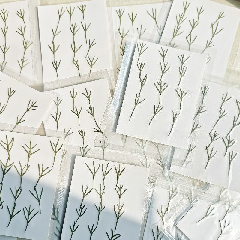 24 adet, Gerçek Preslenmiş Aki - Dried Flower Bookmark incelemesi ve fiyatı