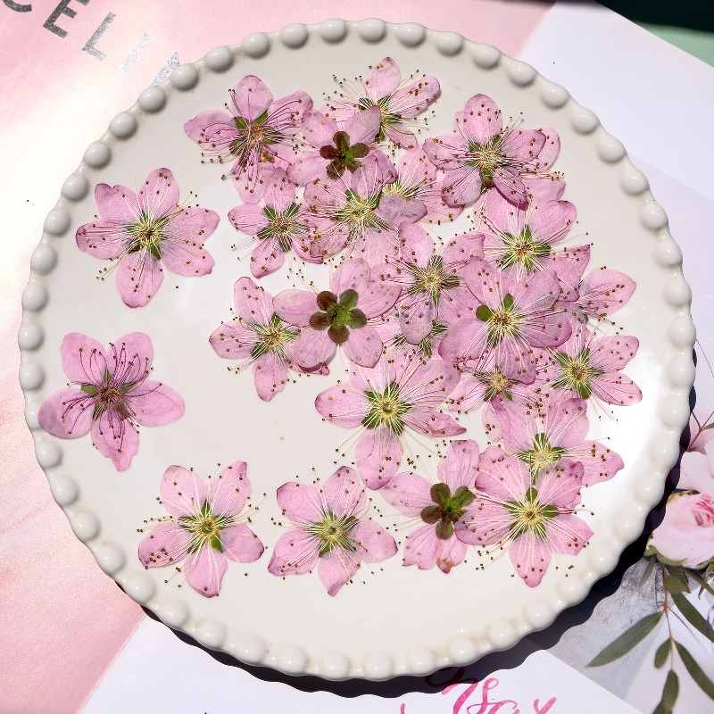 3-4cm./6 adet, Pembe Şeftali Ç - Dried Flower Bookmark incelemesi ve fiyatı