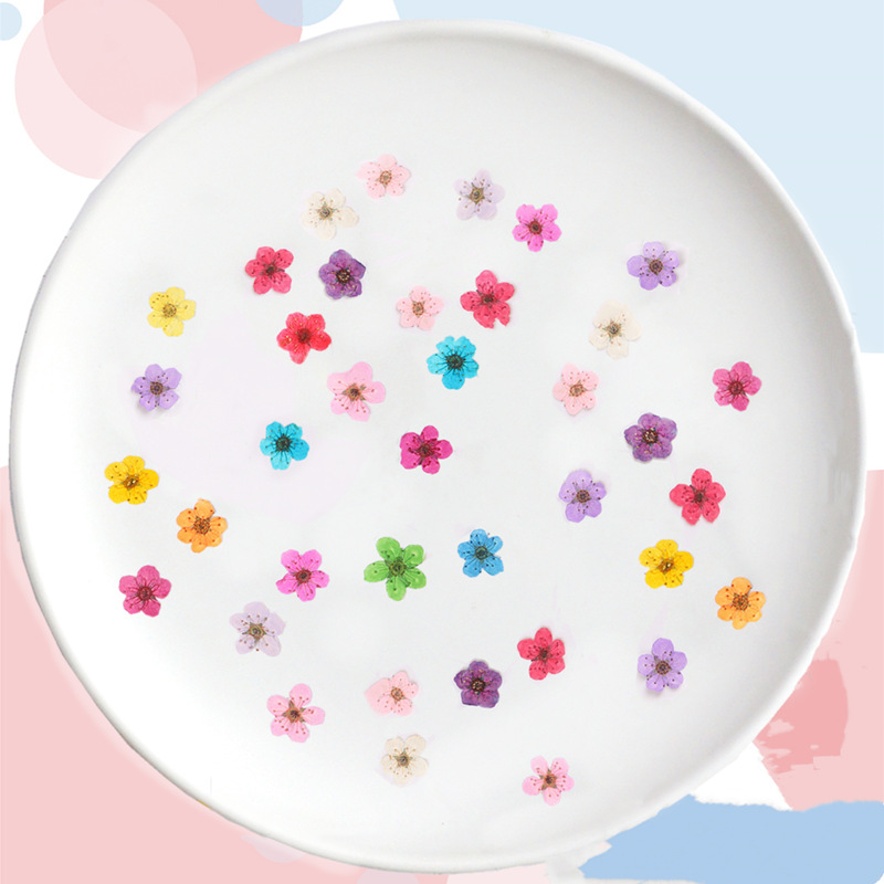 60 adet Mini preslenmiş kurutu - Dried Flower Bookmark incelemesi ve fiyatı