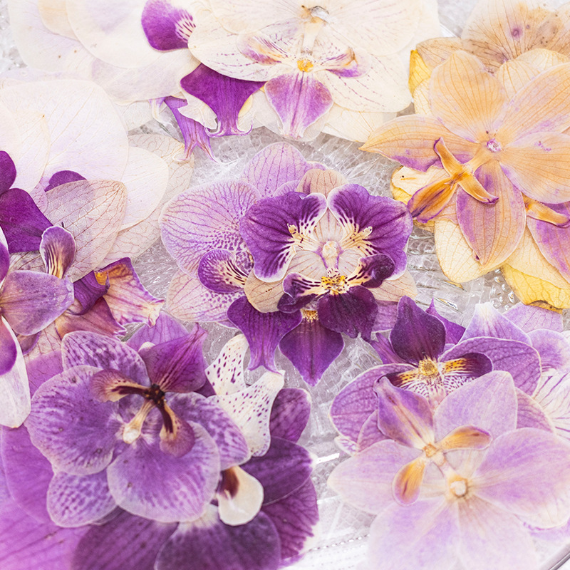 4 adet preslenmiş kurutulmuş P - Dried Flower Bookmark incelemesi ve fiyatı