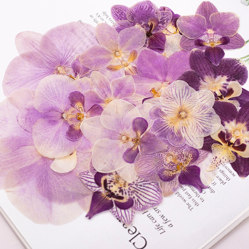 4 adet preslenmiş kurutulmuş P - Dried Flower Bookmark incelemesi ve fiyatı
