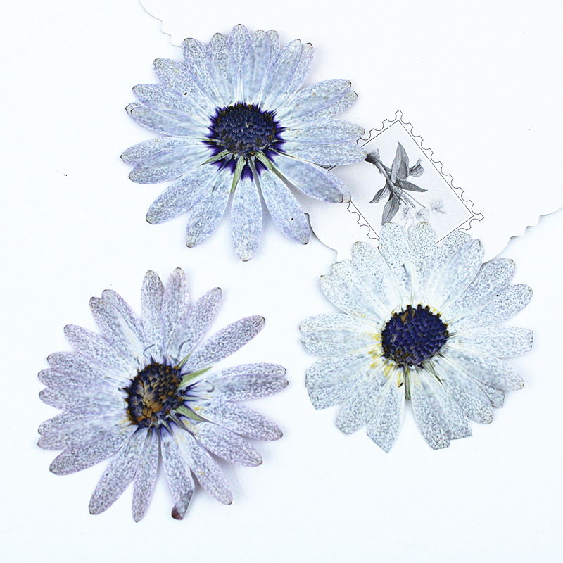 12 adet/4-6 cm, Premium Gri-Be - Dried Flower Bookmark incelemesi ve fiyatı