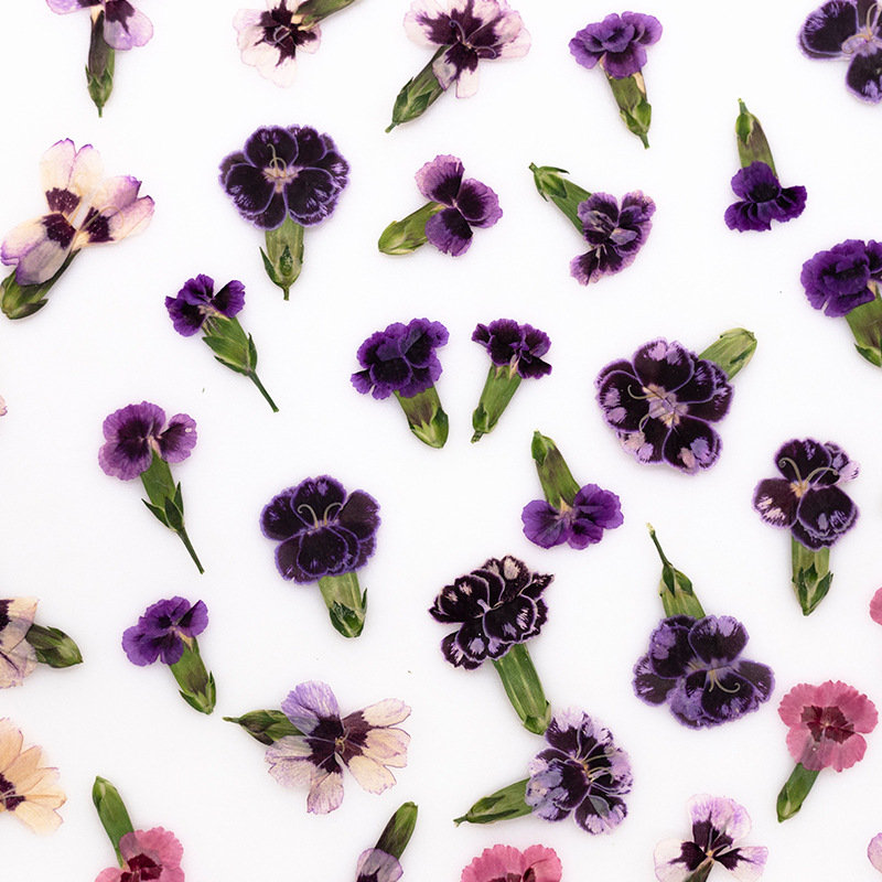 24 adet, Preslenmiş Kurutulmuş - Dried Flower Bookmark incelemesi ve fiyatı