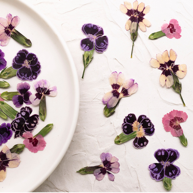 24 adet, Preslenmiş Kurutulmuş - Dried Flower Bookmark incelemesi ve fiyatı