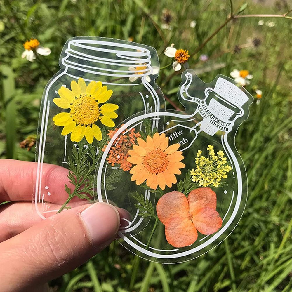 30 adet şeffaf kurutulmuş çiçe - Dried Flower Bookmark incelemesi ve fiyatı