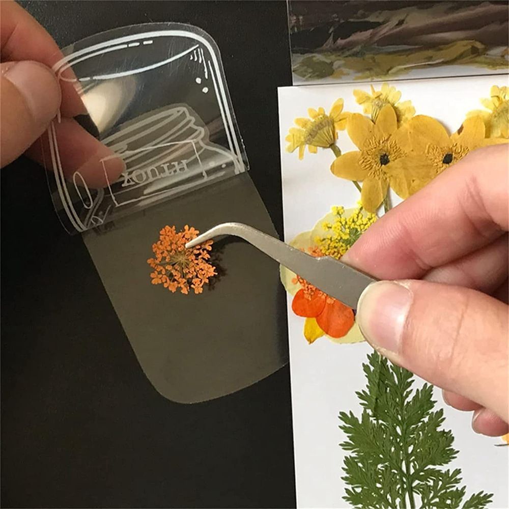30 adet şeffaf kurutulmuş çiçe - Dried Flower Bookmark incelemesi ve fiyatı