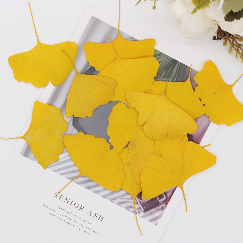 60 adet preslenmiş kurutulmuş  - Dried Flower Bookmark incelemesi ve fiyatı